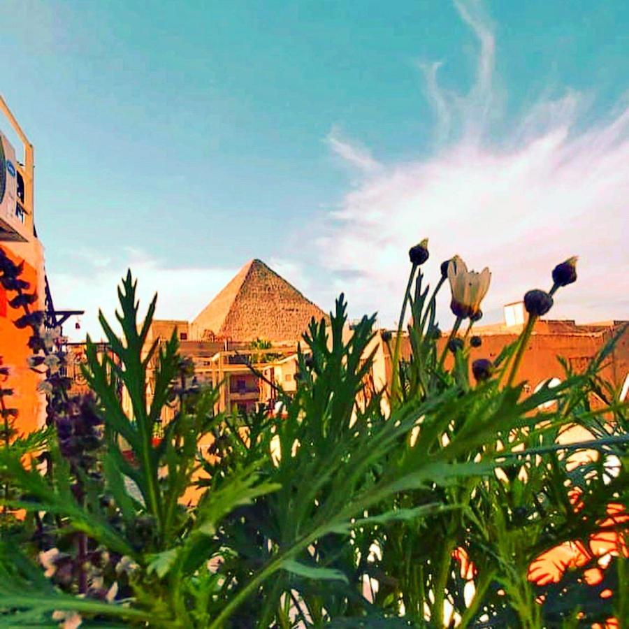Carpet Alaadein Pyramids View Hotel Kafrat al Jabal Exterior photo